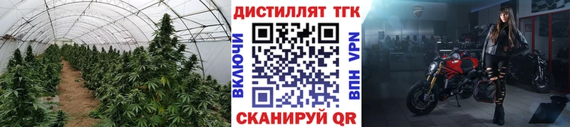 ТГК Wax  Новошахтинск 