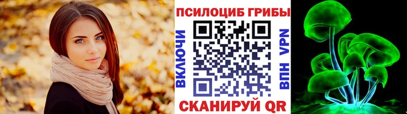 omg как войти  Новошахтинск  Псилоцибиновые грибы GOLDEN TEACHER  как найти закладки 