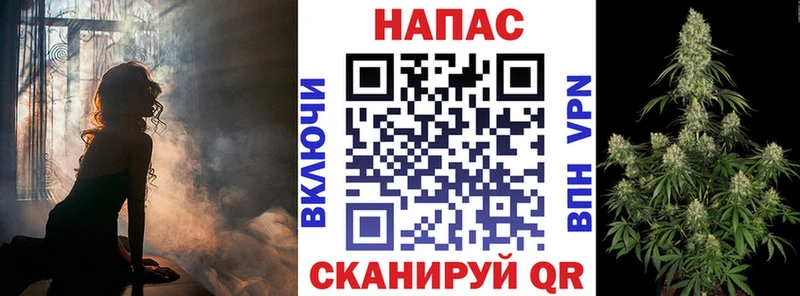 Шишки марихуана планчик  Новошахтинск 